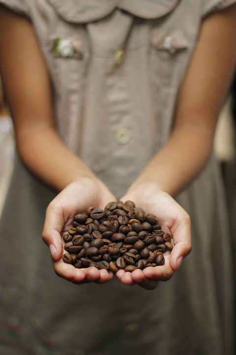 Discovering the Terroir of Coffee: How Origin Impacts Flavor Discovering the Terroir of Coffee: How Origin Impacts Flavor