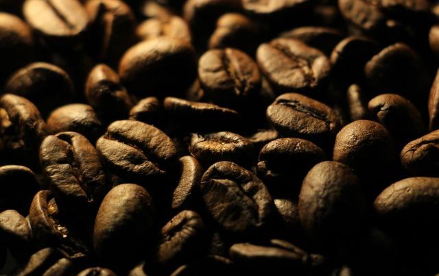 Essential⁣ Coffee Care Tips ‍for Happy ⁣Plants