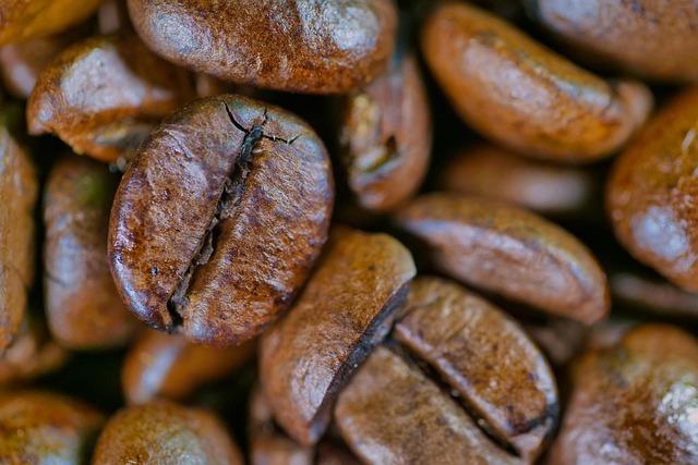 Creating the Perfect Coffee Planting Environment