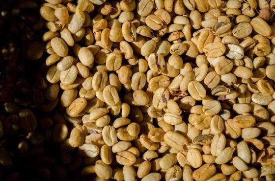 Perk Up Your Day: Awesome Benefits of Coffee Beans!