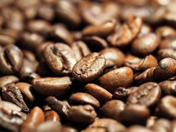 Brewing Adventures: Essential Coffee Travel Tips for You!